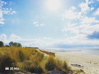 feiner Sandstrand auf der Insel Poel