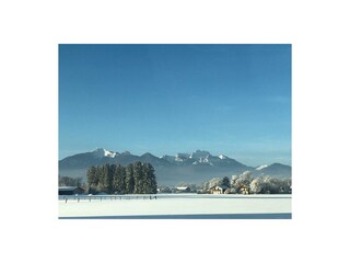 Winter. Nähe Langlaufloipen