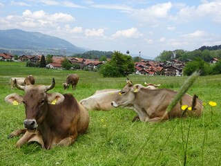 Appartamento per vacanze Oberstdorf Ambiente 16