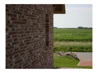 Tolle Aussicht in die Natur