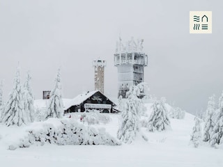 Der Schneekopf