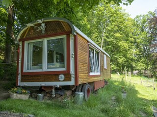 Außenansicht: Inmitten von Grün