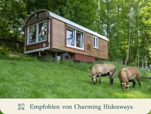 Ferienhaus Zirkuswagen auf der Schafweide