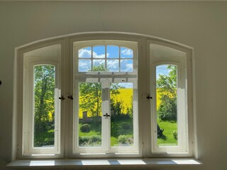 Blick in den Garten
