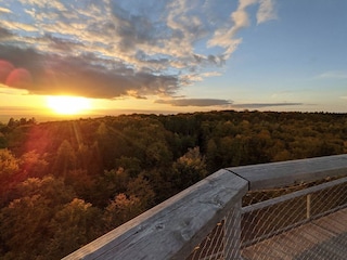 Ausblick Baumwipfelpfad Steigerwald