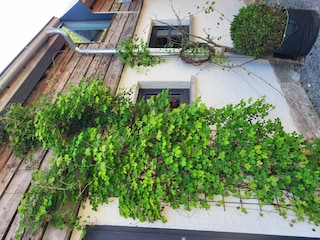 Ferienwohnung außen