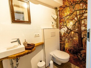 separate Toilette