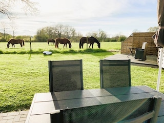 Terrasse an der Pferdekoppel