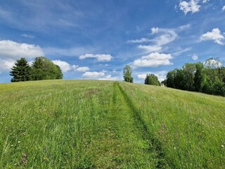 Natur pur um die "OANS"