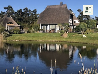 Gartenseite mit Teich