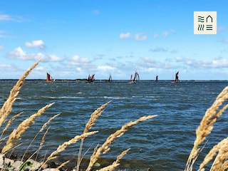 Segler am Bodden