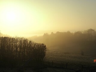 Morgennebel auf der Terrasse