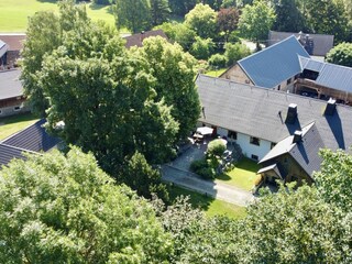 Sattes Grün im eigenen Garten