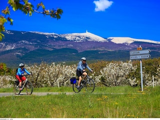 Radfahren rund um den Mont Ventoux