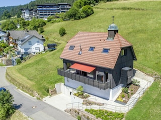 Die Bergforelle aus der Vogelperspektive