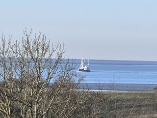 Ausblick
