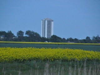 Natur erkunden
