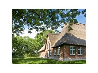 Ferienwohnung Welt in Eiderstedt Außenaufnahme 10