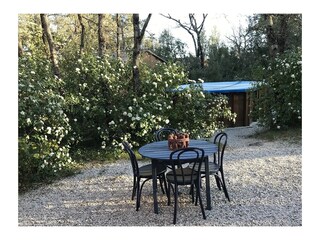Im Garten