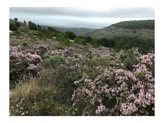 Route de crêtes zwischen La Ciotat und  Cassis