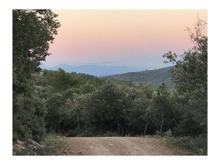 beim Spaziergang in der Nähe
