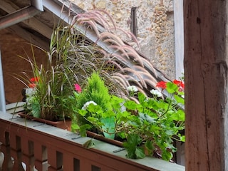 Holiday house Beblenheim Outdoor Recording 22