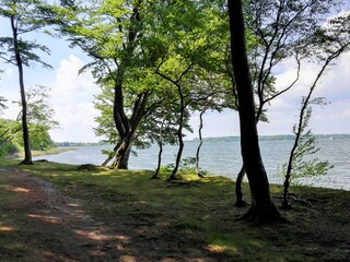 Idyllischer Wanderweg am Schleiufer, herrliche Aussicht