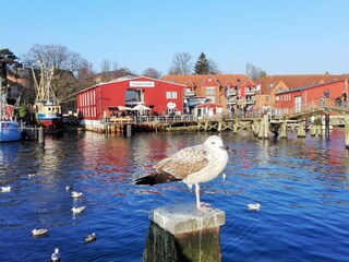 Eckernförder Hafen mit Restaurants, Cafes, Fischkutter