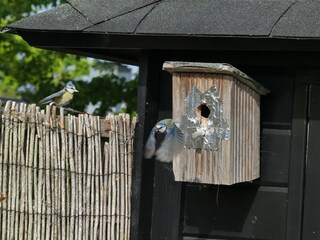 Appartamento per vacanze Sint Maartensvlotbrug Registrazione all'aperto 6