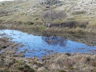 Vakantieappartement Sint Maartensvlotbrug Omgeving 29