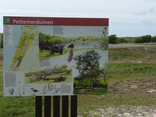 Pettemerdünen