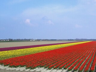 Appartamento per vacanze Sint Maartensvlotbrug Ambiente 22