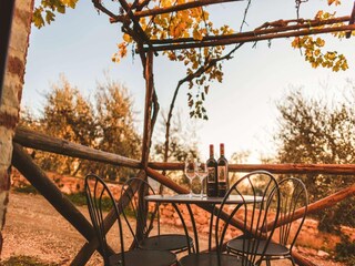 Apartment Gaiole in Chianti Outdoor Recording 4
