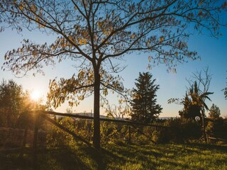 Apartment Gaiole in Chianti Outdoor Recording 5