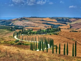 Apartment Gaiole in Chianti Environment 23