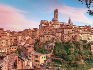 Apartment Gaiole in Chianti Environment 21