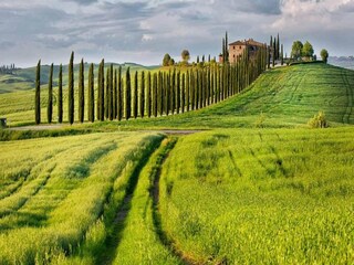 Apartment Gaiole in Chianti Umgebung 22