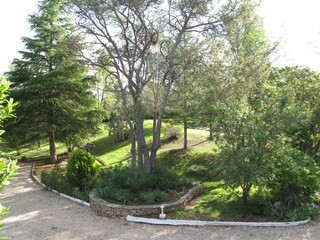 Unser Garten