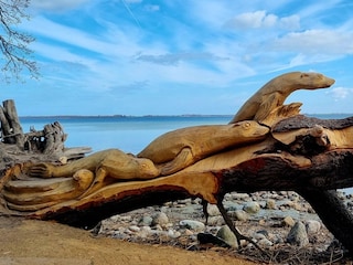 Art on the Beach