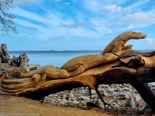 Kunst am Strand