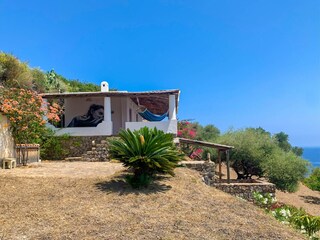 The house in its Mediterranean garden