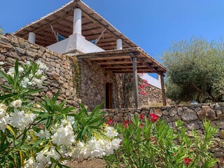 Oleander blooms and stone walls