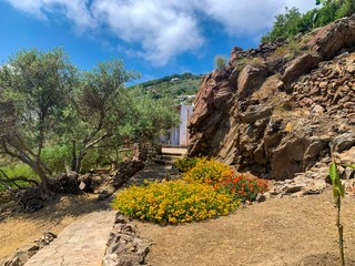 Stone path through the oleander garden