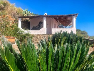 The house between palms and the sea