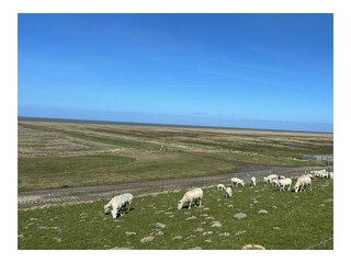 Landschaft