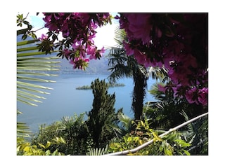 Ferienhaus Ronco sopra Ascona Außenaufnahme 10