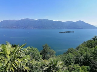 Ferienhaus Ronco sopra Ascona Außenaufnahme 11