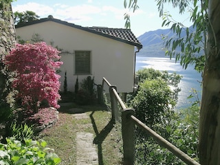 Ferienhaus Ronco sopra Ascona Außenaufnahme 3