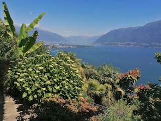 Ferienhaus Ronco sopra Ascona Umgebung 14