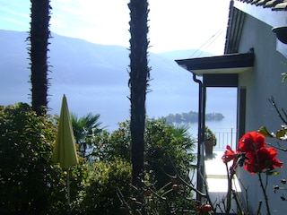 Ferienhaus Ronco sopra Ascona Umgebung 7